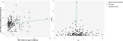 Investigating the causal mediating effect of type 2 diabetes on the relationship between traits and systolic blood pressure: A two-step Mendelian randomization study